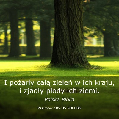 Picture 03 - Psalmów 105:35 POLUBG - I pożarły całą zieleń w ich kraju, i zjadły - Bible Verse Picture