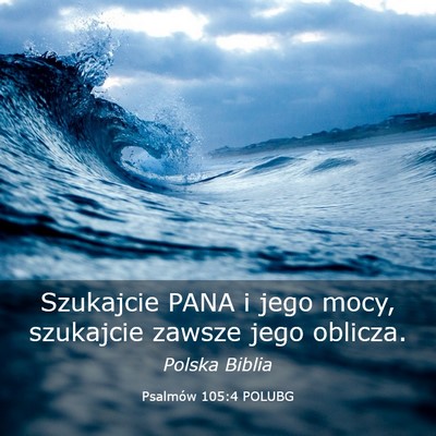 Picture 03 - Psalmów 105:4 POLUBG - Szukajcie PANA i jego mocy, szukajcie zawsze jego - Bible Verse Picture
