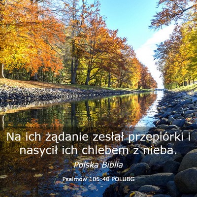 Picture 03 - Psalmów 105:40 POLUBG - Na ich żądanie zesłał przepiórki i nasycił - Bible Verse Picture
