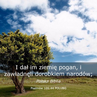 Picture 03 - Psalmów 105:44 POLUBG - I dał im ziemię pogan, i zawładnęli dorobkiem - Bible Verse Picture