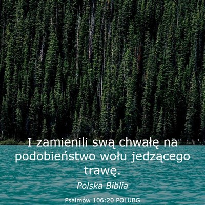 Picture 03 - Psalmów 106:20 POLUBG - I zamienili swą chwałę na podobieństwo wołu - Bible Verse Picture