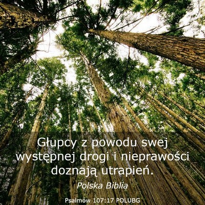 Picture 03 - Psalmów 107:17 POLUBG - Głupcy z powodu swej występnej drogi i - Bible Verse Picture