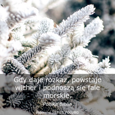 Picture 03 - Psalmów 107:25 POLUBG - Gdy daje rozkaz, powstaje wicher i podnoszą się - Bible Verse Picture