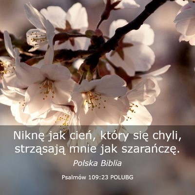 Picture 03 - Psalmów 109:23 POLUBG - Niknę jak cień, który się chyli, strząsają - Bible Verse Picture
