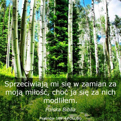 Picture 03 - Psalmów 109:4 POLUBG - Sprzeciwiają mi się w zamian za moją - Bible Verse Picture