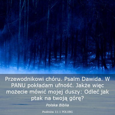 Picture 03 - Psalmów 11:1 POLUBG - Przewodnikowi chóru. Psalm Dawida. W PANU - Bible Verse Picture