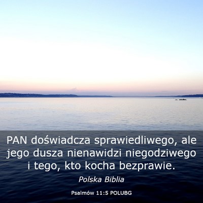 Picture 03 - Psalmów 11:5 POLUBG - PAN doświadcza sprawiedliwego, ale jego dusza - Bible Verse Picture
