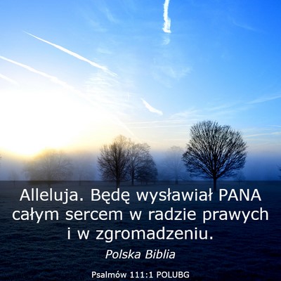 Picture 03 - Psalmów 111:1 POLUBG - Alleluja. Będę wysławiał PANA całym sercem w - Bible Verse Picture