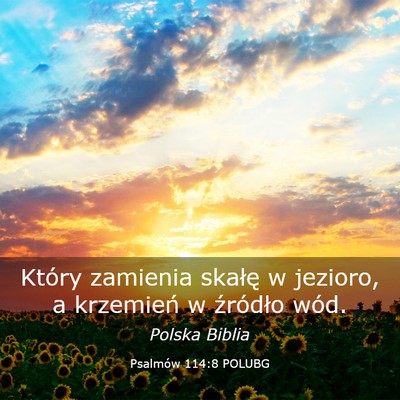 Picture 03 - Psalmów 114:8 POLUBG - Który zamienia skałę w jezioro, a krzemień w - Bible Verse Picture