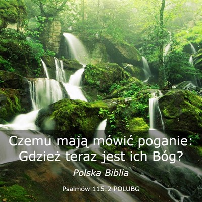 Picture 03 - Psalmów 115:2 POLUBG - Czemu mają mówić poganie: Gdzież teraz jest - Bible Verse Picture
