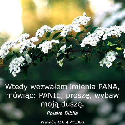 Picture 03 - Psalmów 116:4 POLUBG - Wtedy wezwałem imienia PANA, mówiąc: PANIE, - Bible Verse Picture