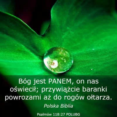 Picture 03 - Psalmów 118:27 POLUBG - Bóg jest PANEM, on nas oświecił; przywiążcie - Bible Verse Picture