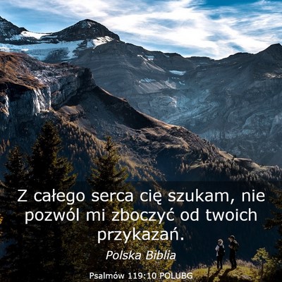 Picture 03 - Psalmów 119:10 POLUBG - Z całego serca cię szukam, nie pozwól mi - Bible Verse Picture