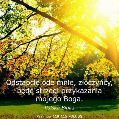 Picture 03 - Psalmów 119:115 POLUBG - Odstąpcie ode mnie, złoczyńcy, będę strzegł - Bible Verse Picture