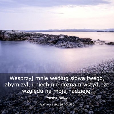 Picture 03 - Psalmów 119:116 POLUBG - Wesprzyj mnie według słowa twego, abym żył, i - Bible Verse Picture