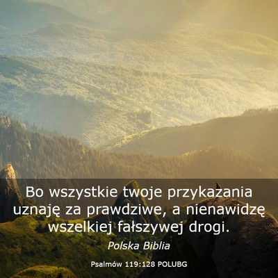Picture 03 - Psalmów 119:128 POLUBG - Bo wszystkie twoje przykazania uznaję za - Bible Verse Picture