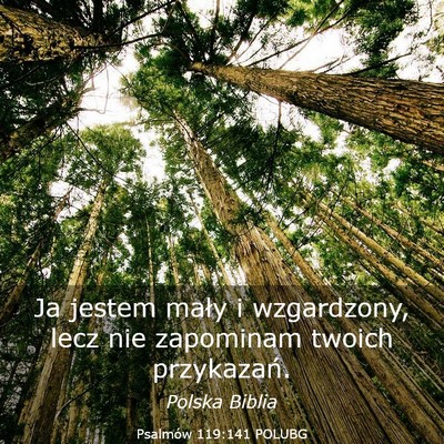 Picture 03 - Psalmów 119:141 POLUBG - Ja jestem mały i wzgardzony, lecz nie zapominam - Bible Verse Picture