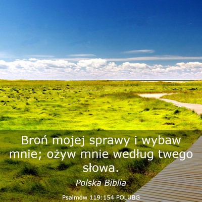 Picture 03 - Psalmów 119:154 POLUBG - Broń mojej sprawy i wybaw mnie; ożyw mnie - Bible Verse Picture