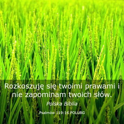 Picture 03 - Psalmów 119:16 POLUBG - Rozkoszuję się twoimi prawami i nie zapominam - Bible Verse Picture