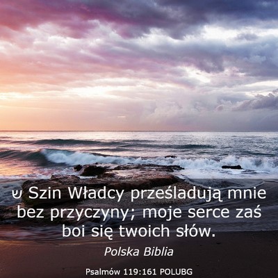 Picture 03 - Psalmów 119:161 POLUBG - ש Szin Władcy prześladują mnie bez przyczyny; - Bible Verse Picture