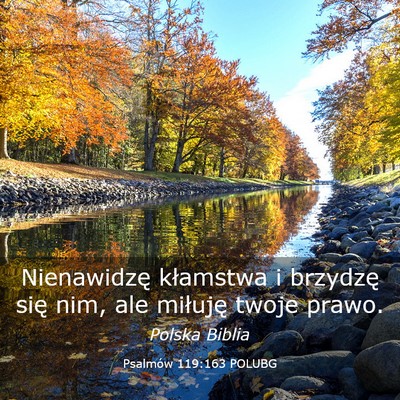 Picture 03 - Psalmów 119:163 POLUBG - Nienawidzę kłamstwa i brzydzę się nim, ale - Bible Verse Picture
