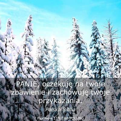 Picture 03 - Psalmów 119:166 POLUBG - PANIE, oczekuję na twoje zbawienie i zachowuję - Bible Verse Picture