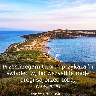 Picture 03 - Psalmów 119:168 POLUBG - Przestrzegam twoich przykazań i świadectw, bo - Bible Verse Picture
