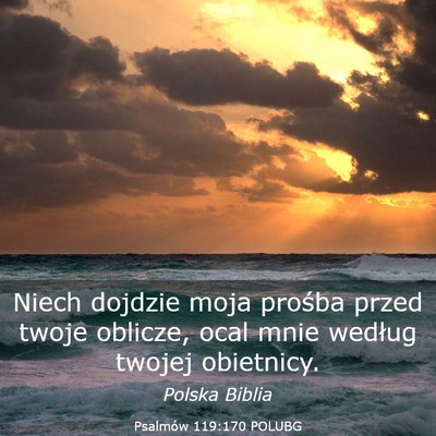 Picture 03 - Psalmów 119:170 POLUBG - Niech dojdzie moja prośba przed twoje oblicze, - Bible Verse Picture