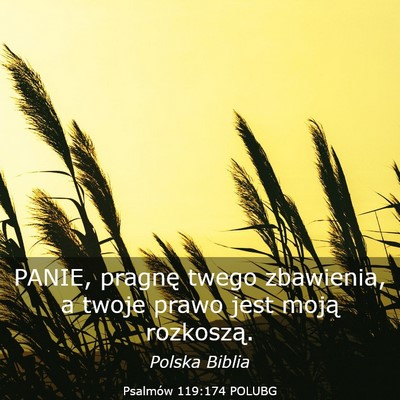 Picture 03 - Psalmów 119:174 POLUBG - PANIE, pragnę twego zbawienia, a twoje prawo - Bible Verse Picture