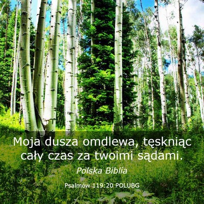 Picture 03 - Psalmów 119:20 POLUBG - Moja dusza omdlewa, tęskniąc cały czas za - Bible Verse Picture