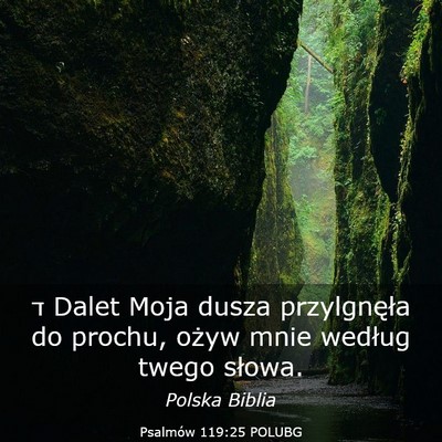 Picture 03 - Psalmów 119:25 POLUBG - ד Dalet Moja dusza przylgnęła do prochu, ożyw - Bible Verse Picture