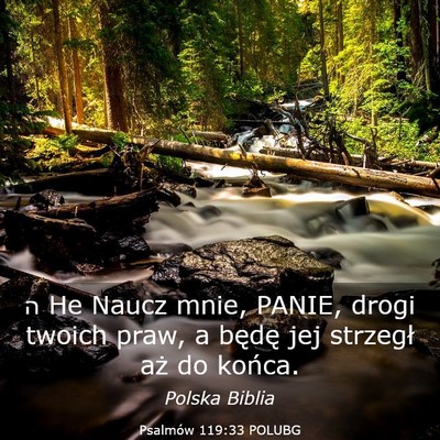 Picture 03 - Psalmów 119:33 POLUBG - ה He Naucz mnie, PANIE, drogi twoich praw, a - Bible Verse Picture