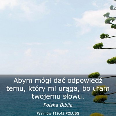 Picture 03 - Psalmów 119:42 POLUBG - Abym mógł dać odpowiedź temu, który mi - Bible Verse Picture