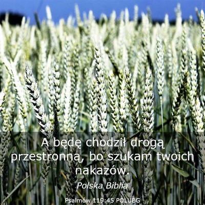 Picture 03 - Psalmów 119:45 POLUBG - A będę chodził drogą przestronną, bo szukam - Bible Verse Picture