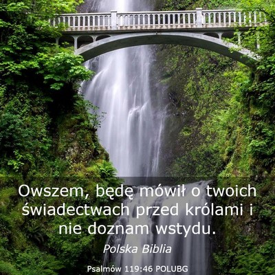 Picture 03 - Psalmów 119:46 POLUBG - Owszem, będę mówił o twoich świadectwach - Bible Verse Picture