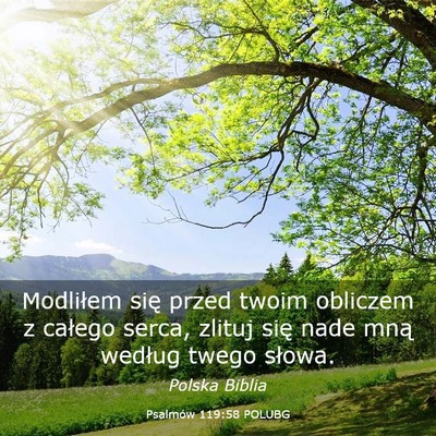 Picture 03 - Psalmów 119:58 POLUBG - Modliłem się przed twoim obliczem z całego - Bible Verse Picture