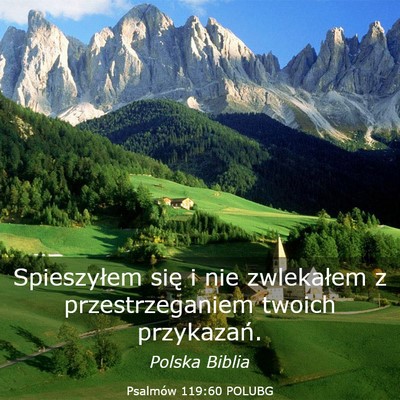 Picture 03 - Psalmów 119:60 POLUBG - Spieszyłem się i nie zwlekałem z - Bible Verse Picture