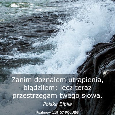 Picture 03 - Psalmów 119:67 POLUBG - Zanim doznałem utrapienia, błądziłem; lecz - Bible Verse Picture