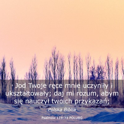 Picture 03 - Psalmów 119:73 POLUBG - י Jod Twoje ręce mnie uczyniły i - Bible Verse Picture