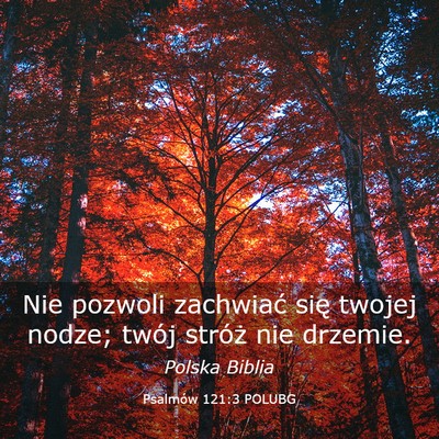 Picture 03 - Psalmów 121:3 POLUBG - Nie pozwoli zachwiać się twojej nodze; twój - Bible Verse Picture