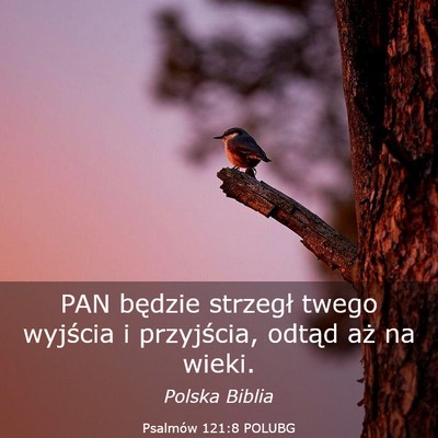 Picture 03 - Psalmów 121:8 POLUBG - PAN będzie strzegł twego wyjścia i przyjścia, - Bible Verse Picture