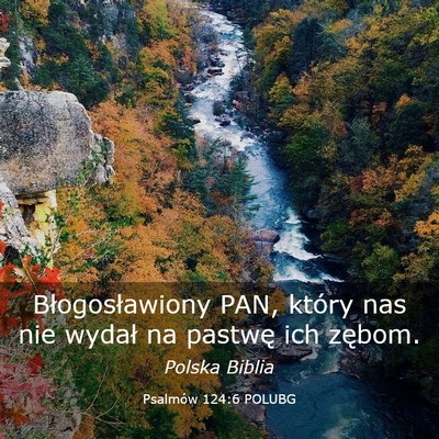 Picture 03 - Psalmów 124:6 POLUBG - Błogosławiony PAN, który nas nie wydał na - Bible Verse Picture
