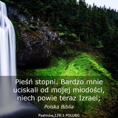 Picture 03 - Psalmów 129:1 POLUBG - Pieśń stopni. Bardzo mnie uciskali od mojej - Bible Verse Picture