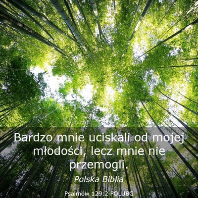 Picture 03 - Psalmów 129:2 POLUBG - Bardzo mnie uciskali od mojej młodości, lecz - Bible Verse Picture