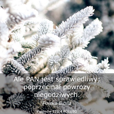 Picture 03 - Psalmów 129:4 POLUBG - Ale PAN jest sprawiedliwy; poprzecinał powrozy - Bible Verse Picture