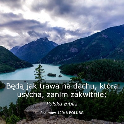 Picture 03 - Psalmów 129:6 POLUBG - Będą jak trawa na dachu, która usycha, zanim - Bible Verse Picture