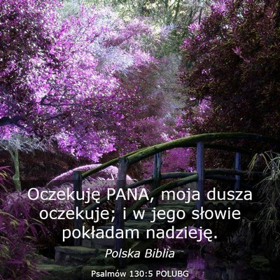 Picture 03 - Psalmów 130:5 POLUBG - Oczekuję PANA, moja dusza oczekuje; i w jego - Bible Verse Picture