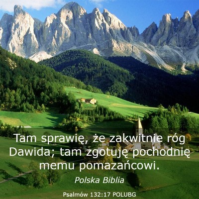 Picture 03 - Psalmów 132:17 POLUBG - Tam sprawię, że zakwitnie róg Dawida; tam - Bible Verse Picture