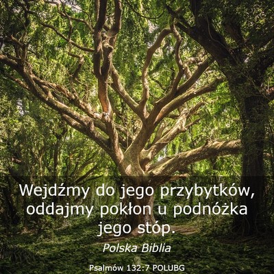 Picture 03 - Psalmów 132:7 POLUBG - Wejdźmy do jego przybytków, oddajmy pokłon u - Bible Verse Picture