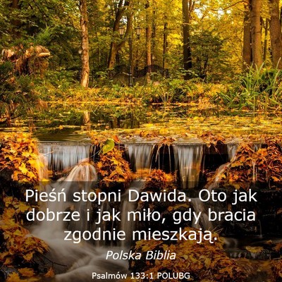 Picture 03 - Psalmów 133:1 POLUBG - Pieśń stopni Dawida. Oto jak dobrze i jak - Bible Verse Picture